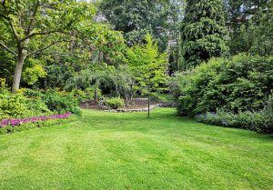 Optimiser l'expérience du jardin à Montauban